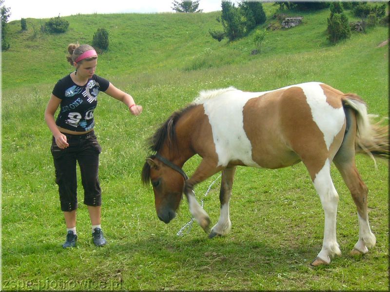 pieniny07_140.jpg