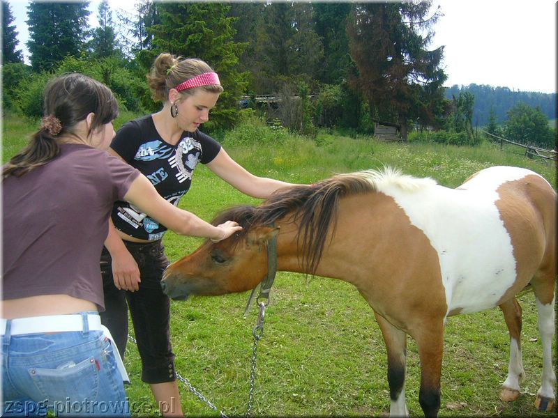 pieniny07_141.jpg